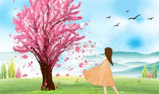 qq一天能加多少好友